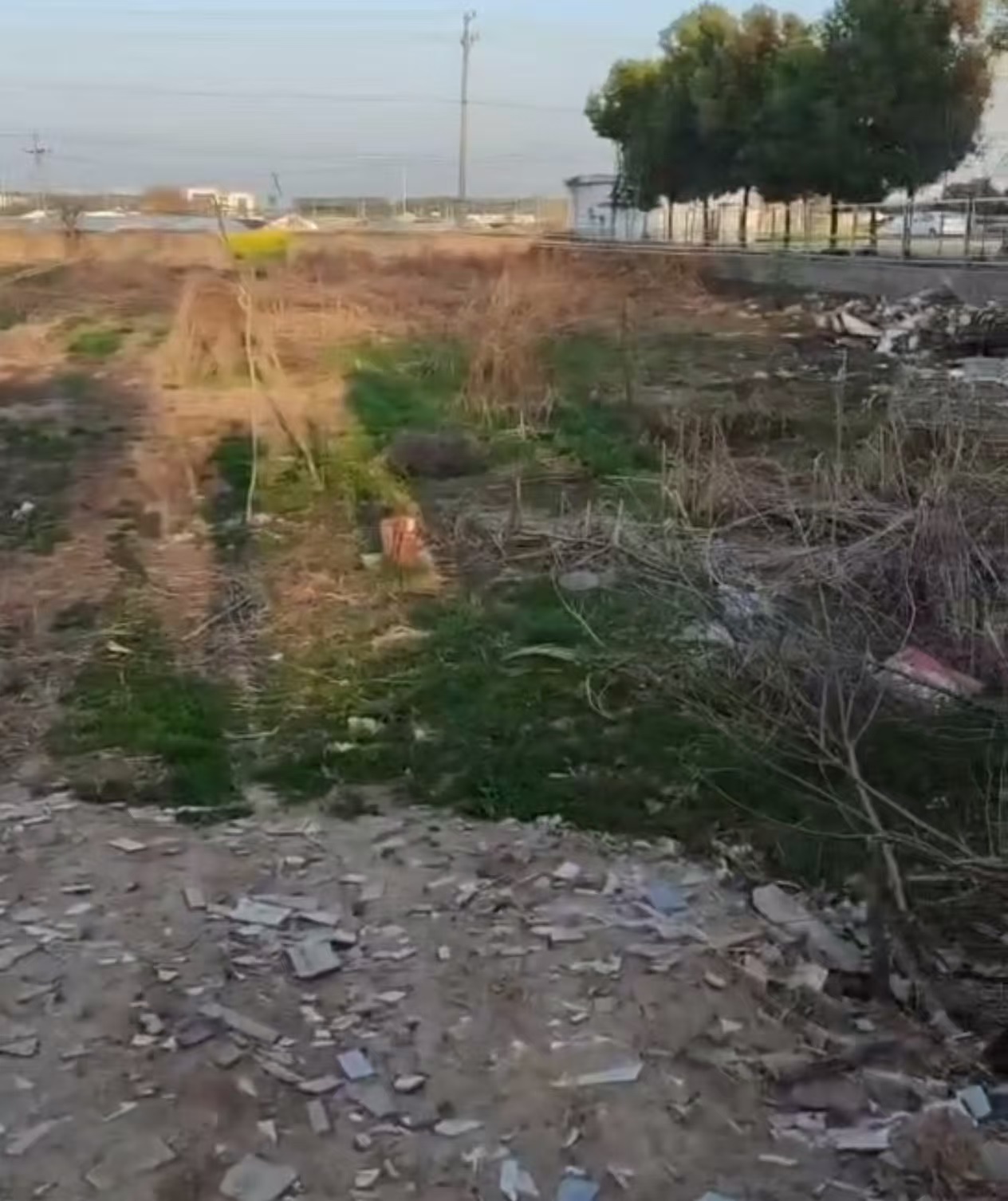 凤台县城北芮集村凤芦路东侧一宗交通用地三年期租赁权